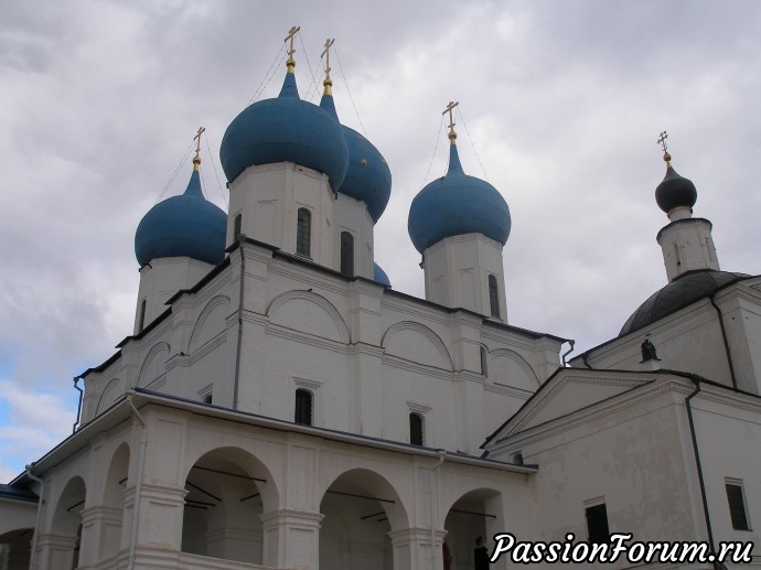 Купола Зачатьевского собора Купола Зачатьевского собора