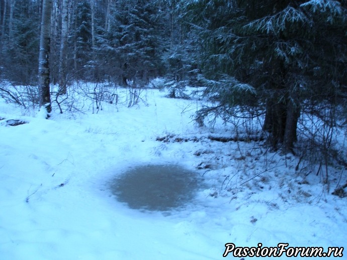 Всех с Рождеством Христовым, мои дорогие!