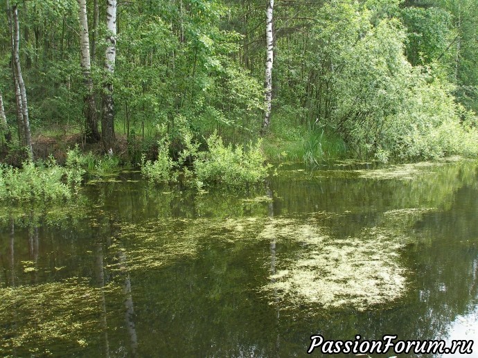 Место, которого больше нет