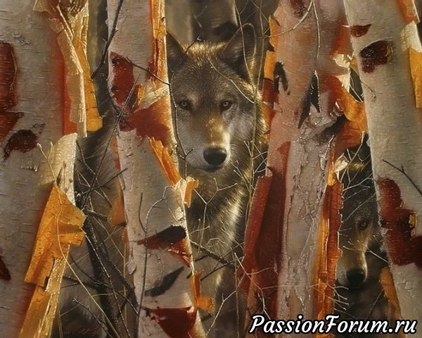 ЗВЕРЬЕ - МОЕ... КАРТИНЫ КОЛЛИНА БОГЛА