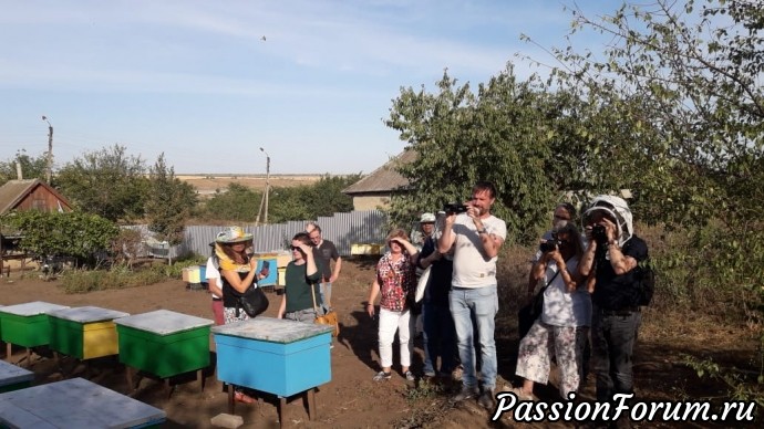 Наши "рукоделки" . Маленький отчет проделанного за сезон.