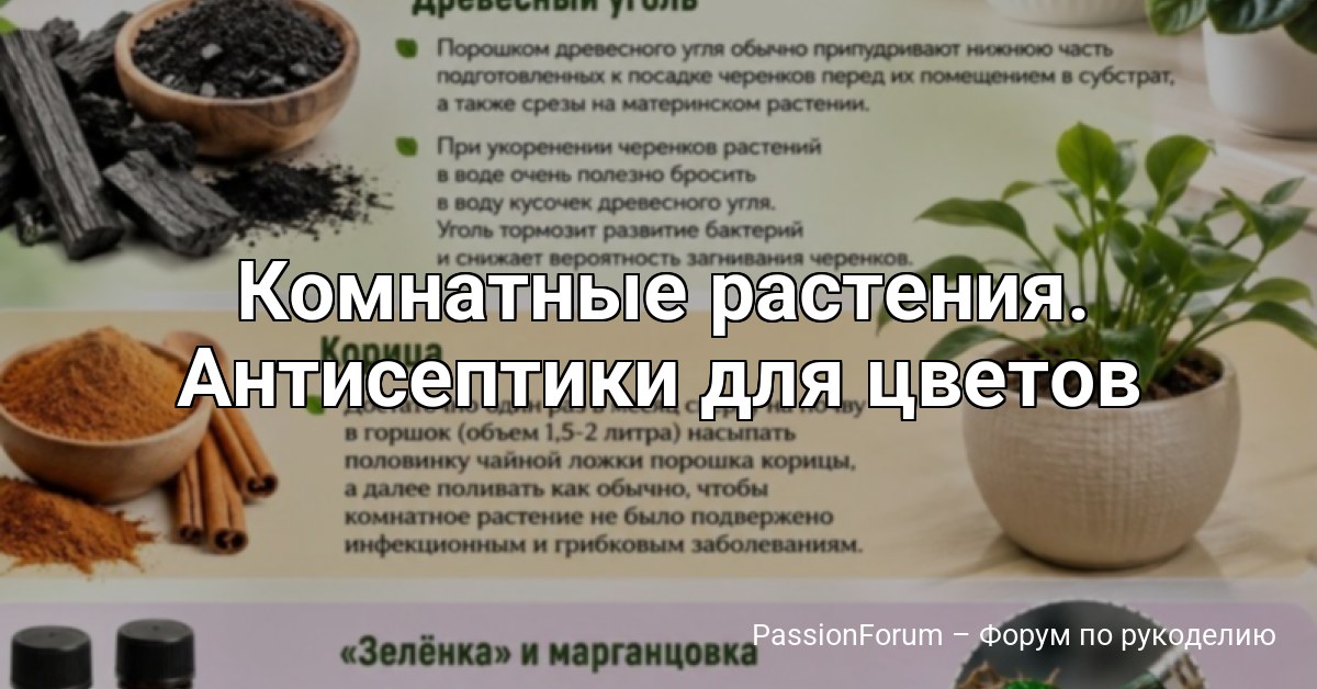 Комнатные растения. Антисептики для цветов