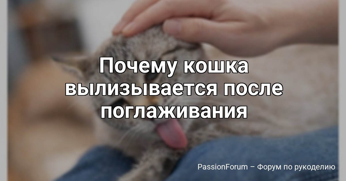 Почему кошка вылизывается после поглаживания