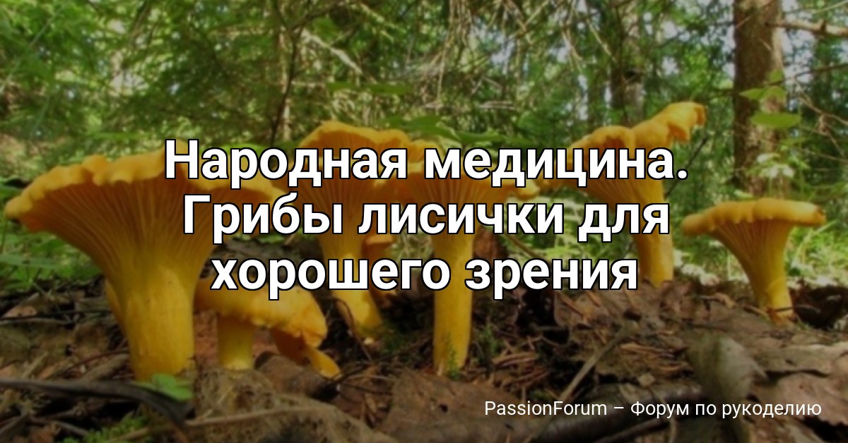 Народная медицина. Грибы лисички для хорошего зрения