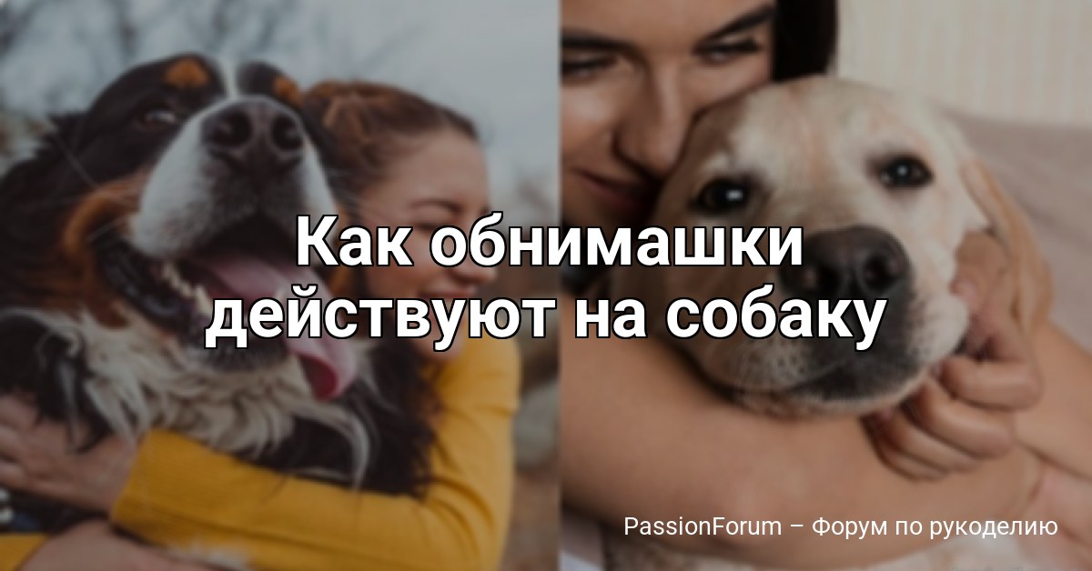 Как обнимашки действуют на собаку