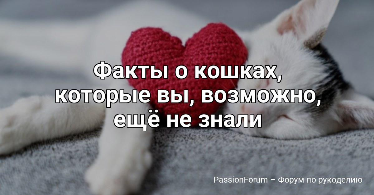 Факты о кошках, которые вы, возможно, ещё не знали
