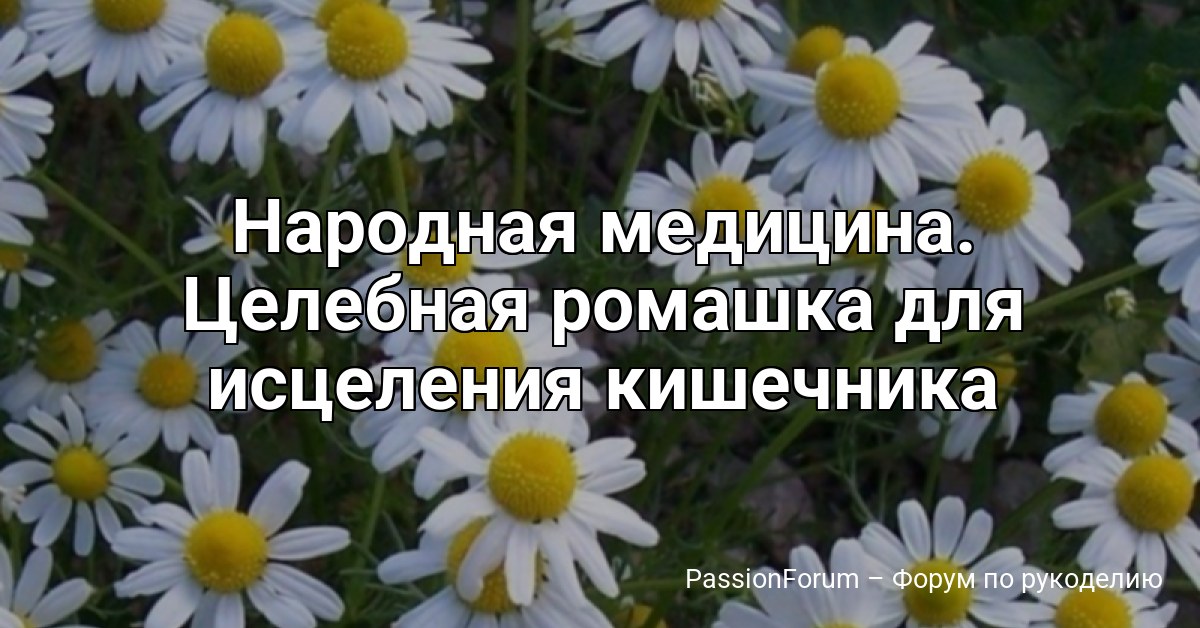 Народная медицина. Целебная ромашка для исцеления кишечника