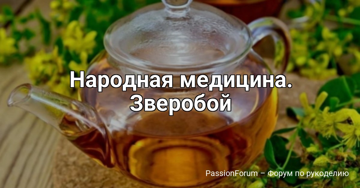 Народная медицина. Зверобой