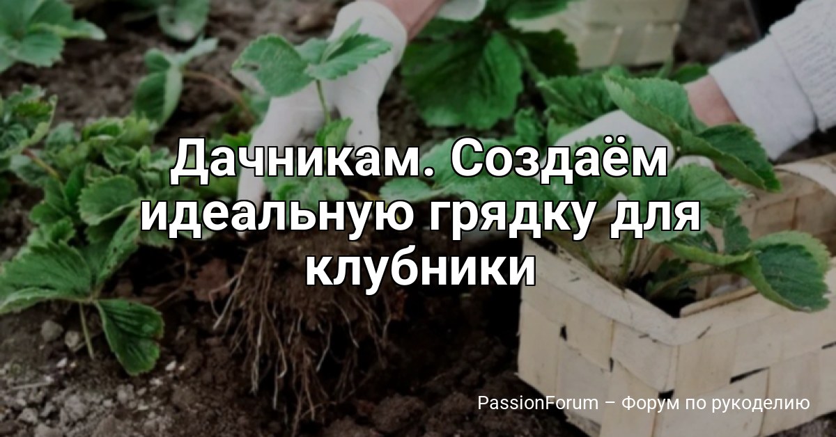 Дачникам. Создаём идеальную грядку для клубники