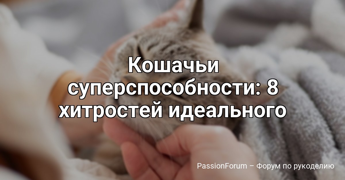 Кошачьи суперспособности: 8 хитростей идеального хищника