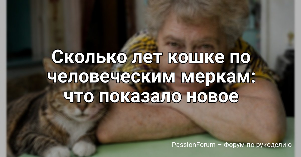 Сколько лет кошке по человеческим меркам: что показало новое исследование