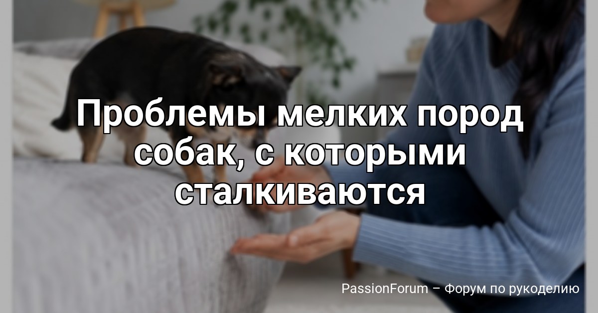 Проблемы мелких пород собак, с которыми сталкиваются владельцы