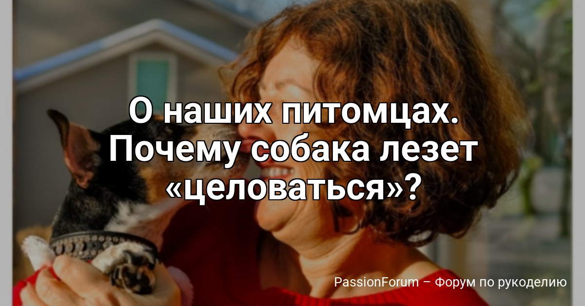 О наших питомцах. Почему собака лезет целоваться ?
