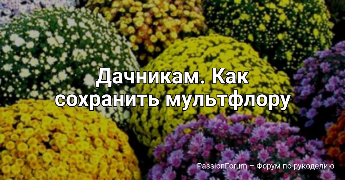 Дачникам. Как сохранить мультфлору