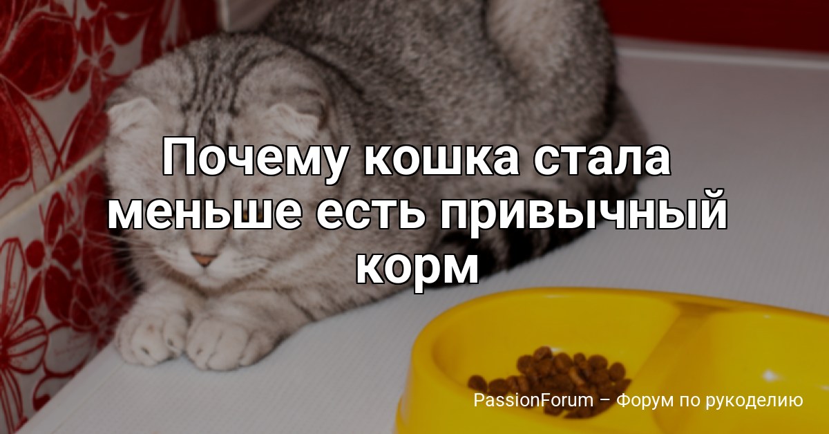 Почему кошка стала меньше есть привычный корм