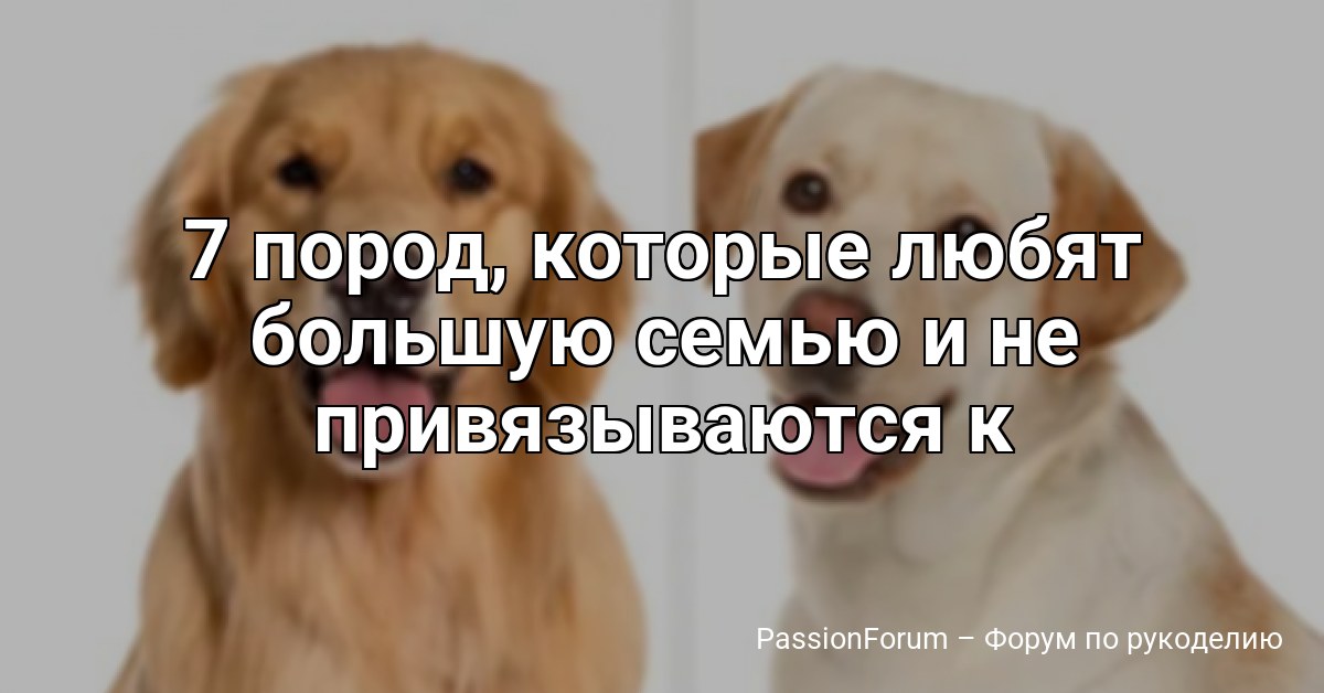 7 пород, которые любят большую семью и не привязываются к одному человеку