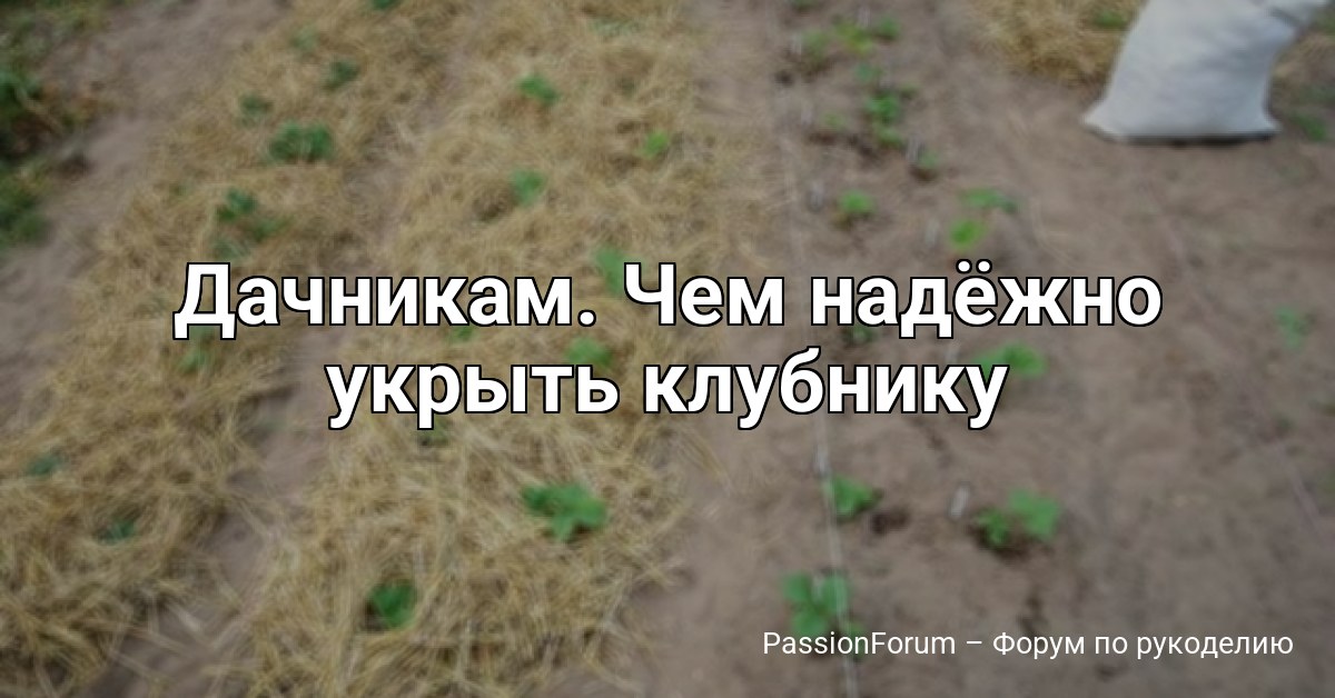 Дачникам. Чем надёжно укрыть клубнику