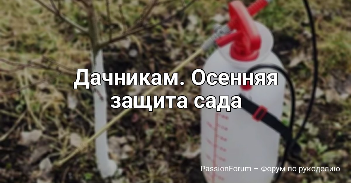 Дачникам. Осенняя защита сада