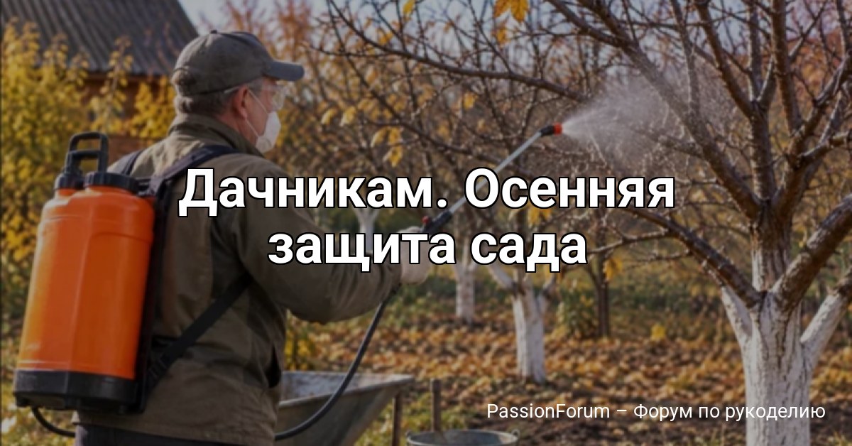 Дачникам. Осенняя защита сада