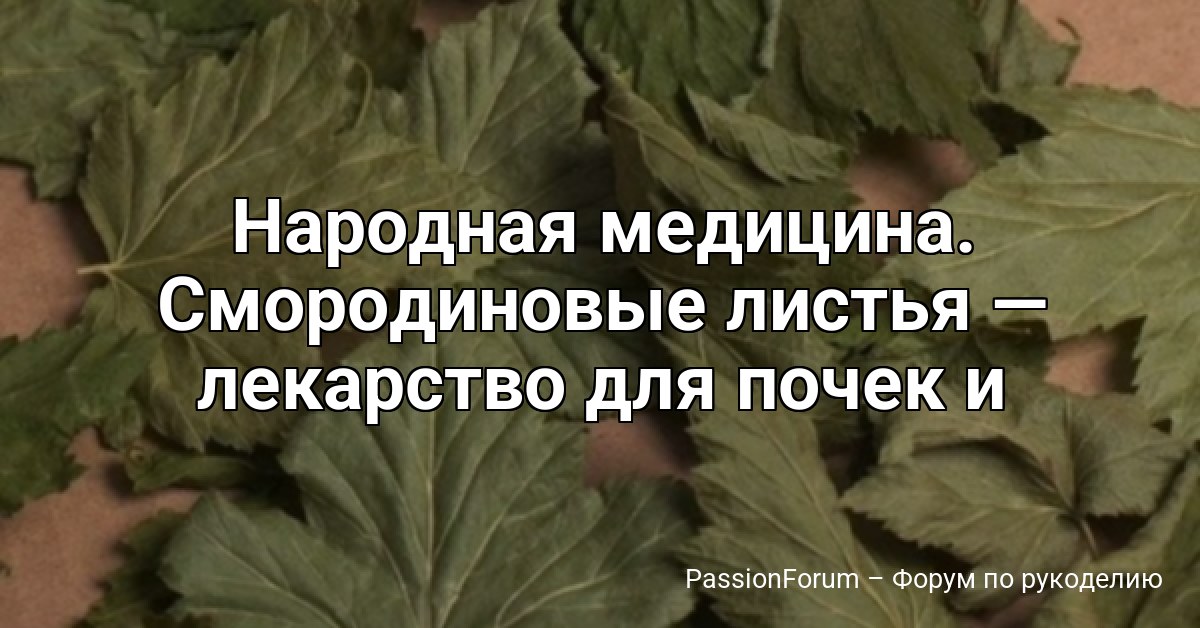 Народная медицина. Смopoдинoвыe лиcтья — лeкapcтвo для пoчeк и cycтaвoв