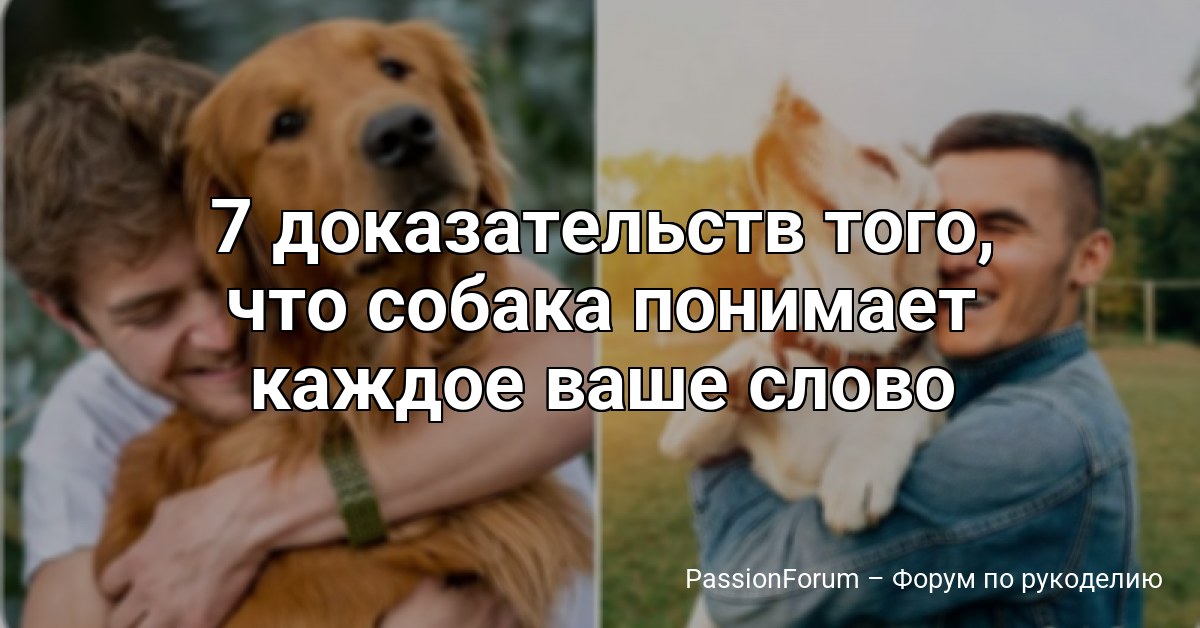 7 доказательств того, что собака понимает каждое ваше слово
