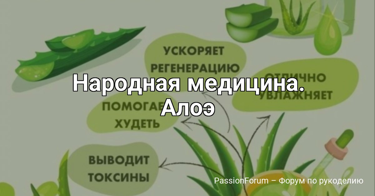 Народная медицина. Алоэ