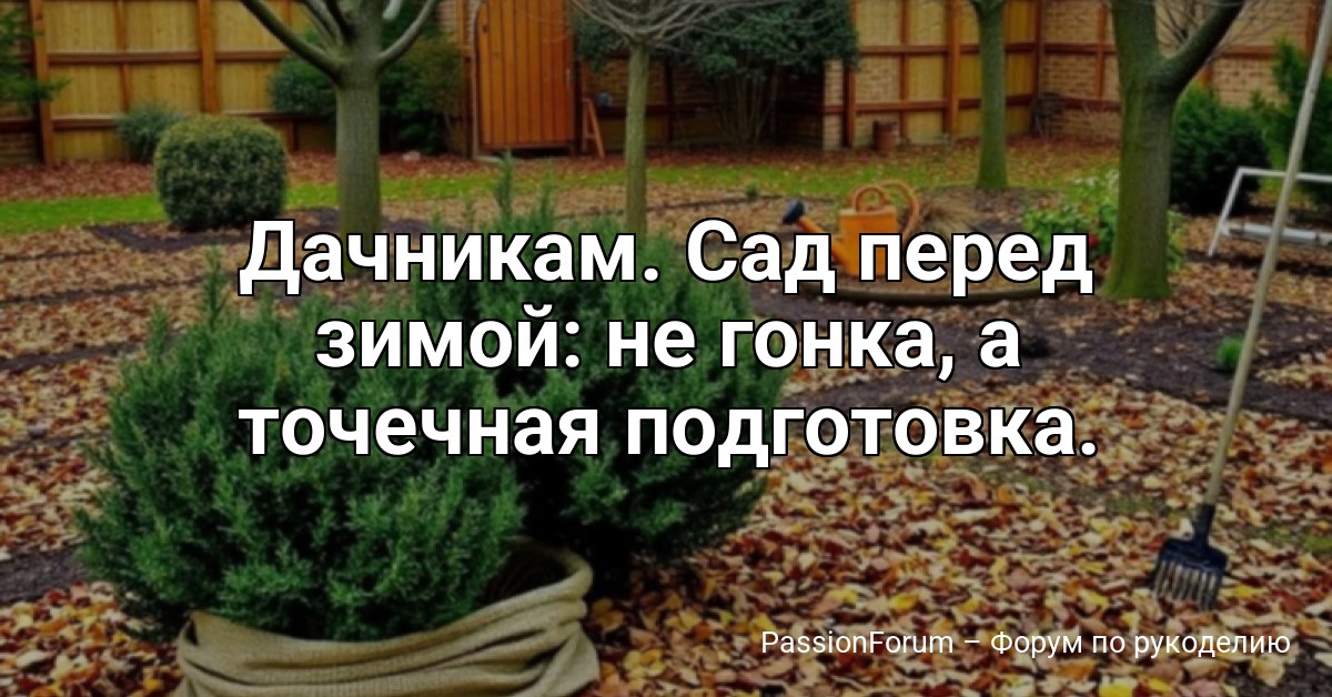 Дачникам. Сад перед зимой: не гонка, а точечная подготовка.