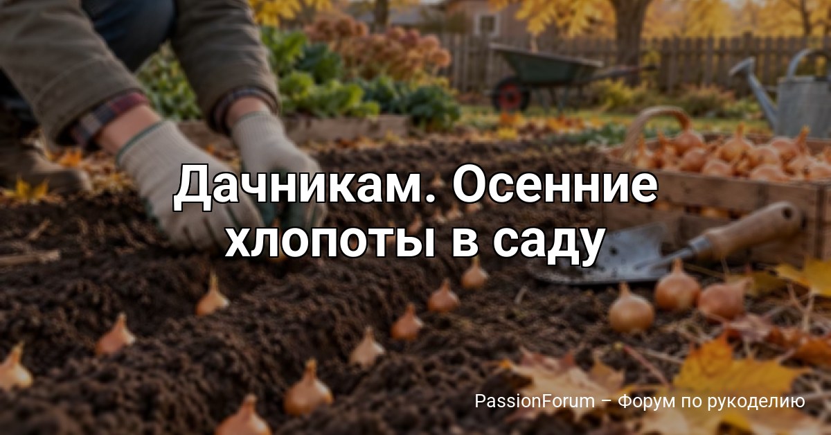 Дачникам. Осенние хлопоты в саду