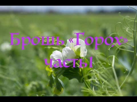 Брошь "Горох"