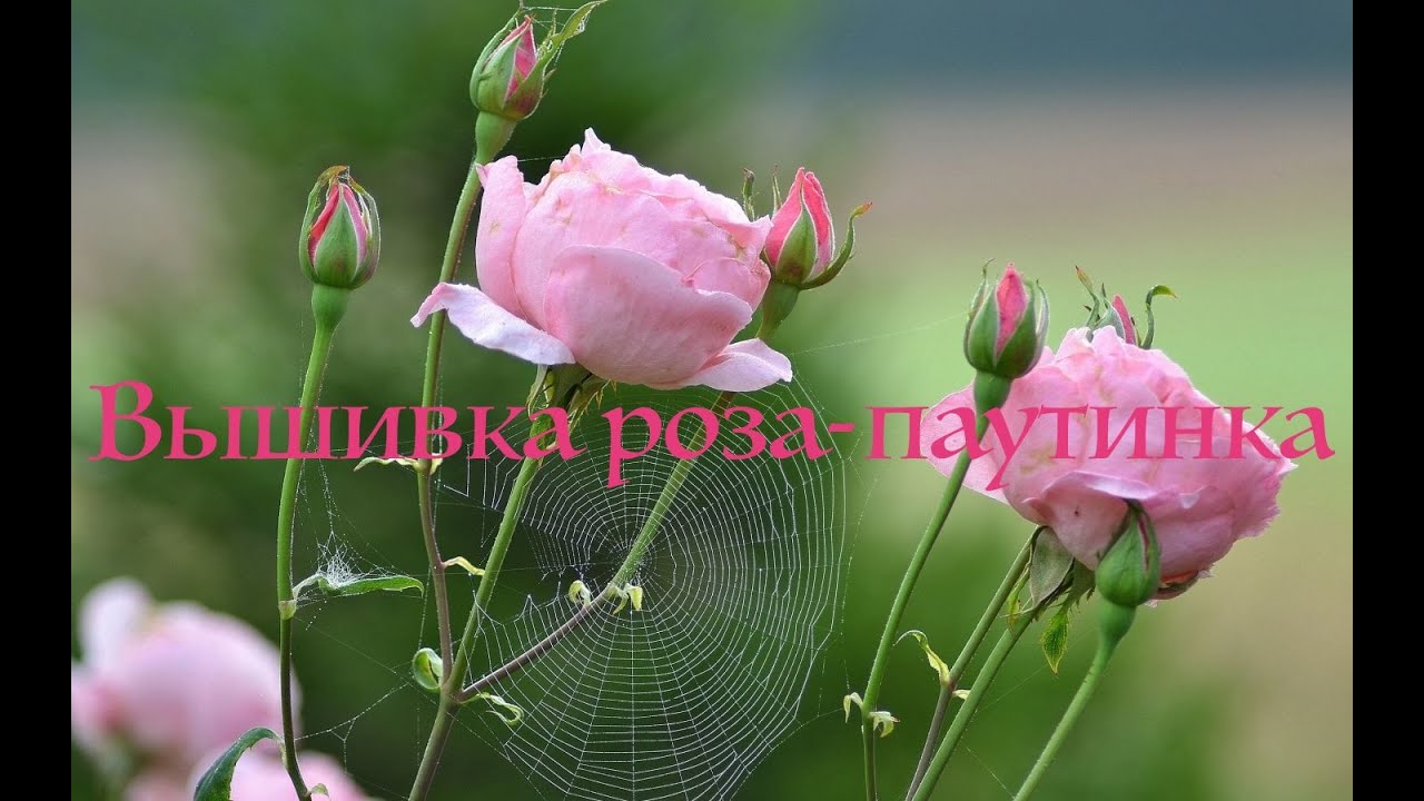 Роза-паутинка, вышивка канителью.