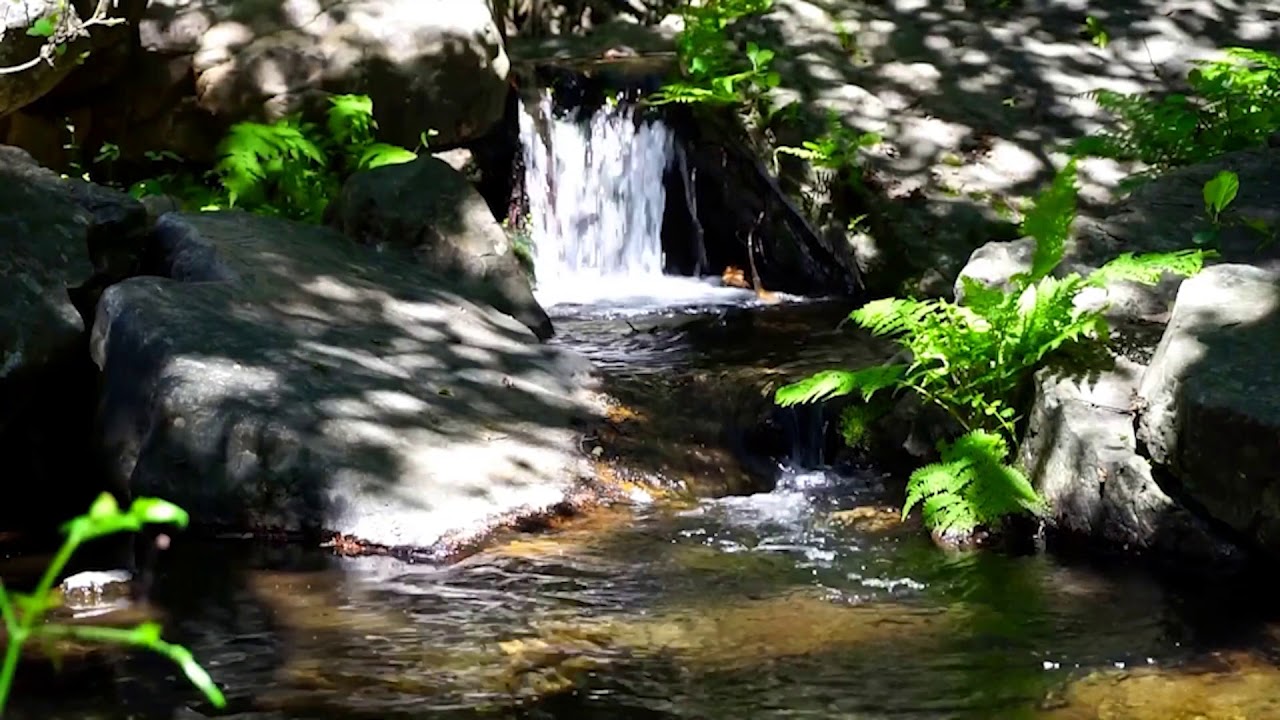 Расслабляющая музыка со звуками живой природы и маленького водопада | 10 часов