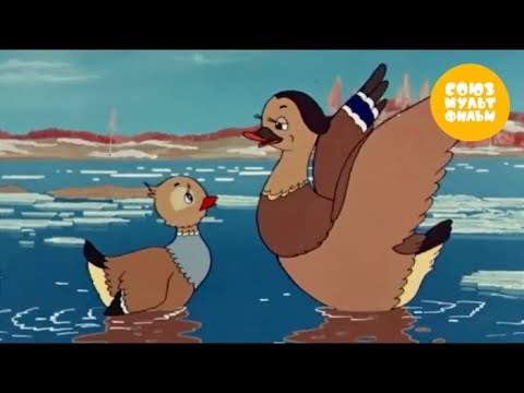 Серая Шейка 