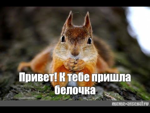 Мы её ждали и она пришла! (Видео)