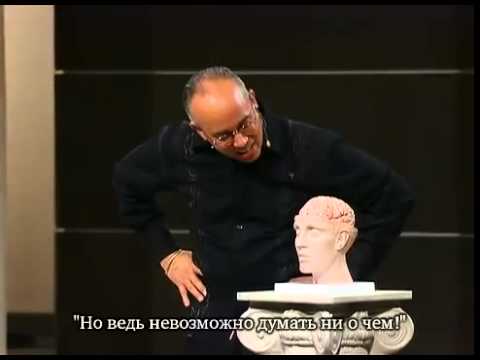 Мозг мужчины и женщины, различия