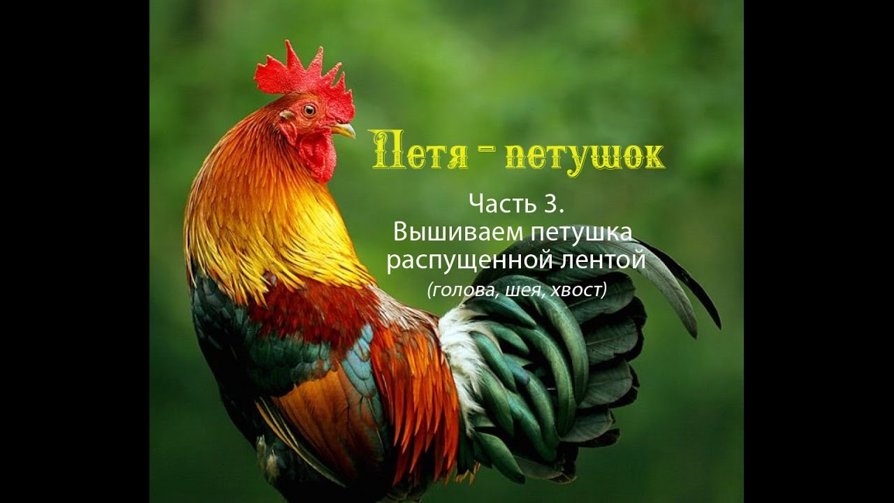 Петя-петушок. Часть 3. Вышиваем петушка распущенной лентой