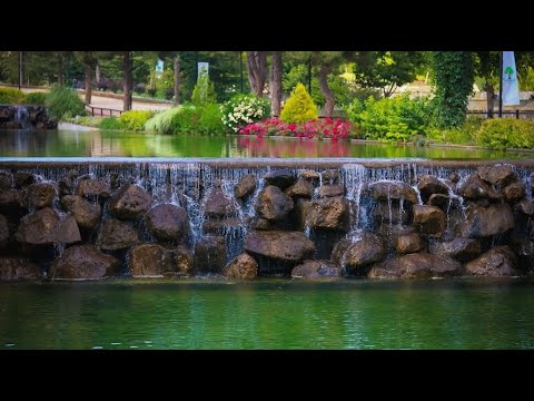 Magic Garden 