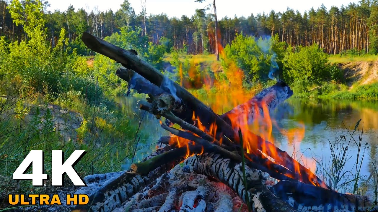 Горит Костер на Берегу Красивой Реки. Звуки огня и Звуки Природы Для Релаксации, Медитации, для Сна