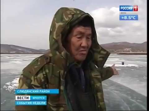 Помогите остановить строительство завода на озере Байкал!