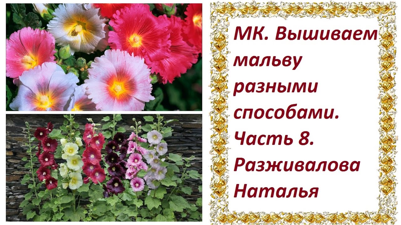 МК. Вышиваем мальву. Часть 8.