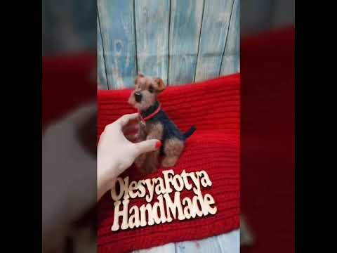 Эрдельтерьер