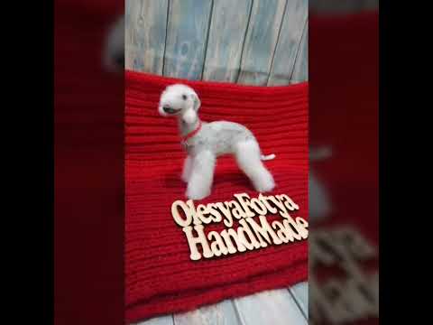 Бедлингтон терьер