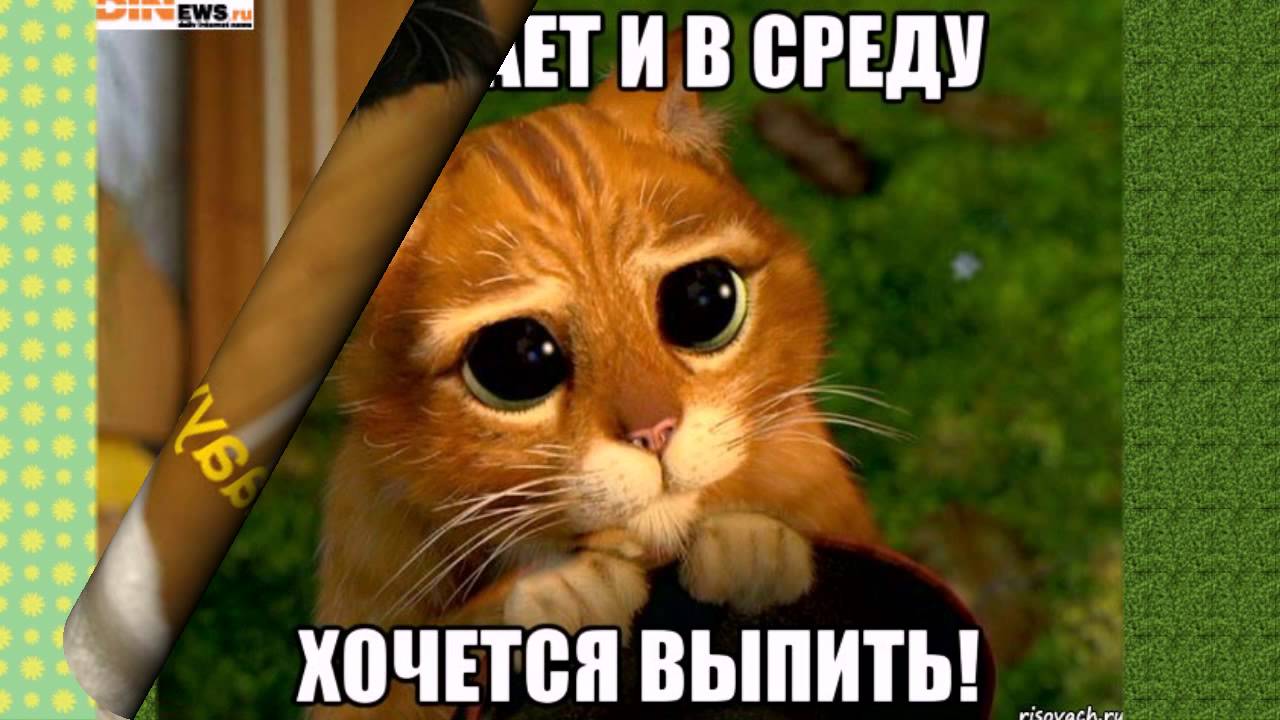 Небольшой заряд бодрости перед началом рабочей недели)