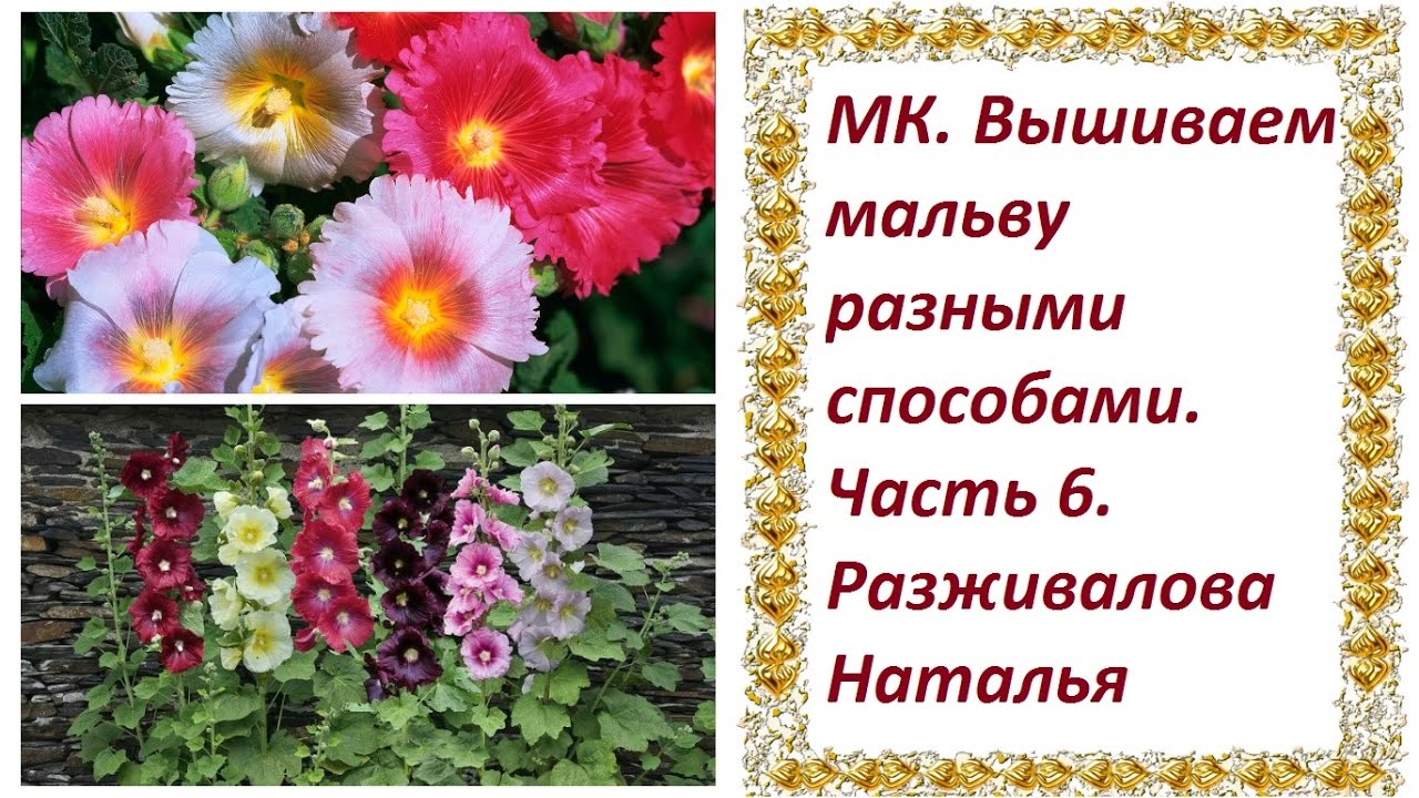 МК. Вышиваем мальву. Часть 6.