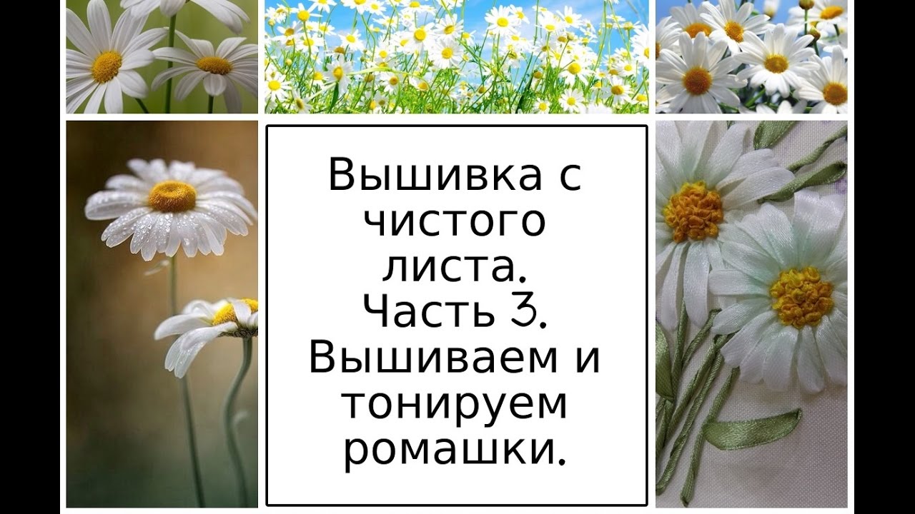 МК. Вышивка с чистого листа. Часть 3. Вышиваем и тонируем лепестки ромашек.