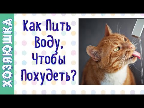 Марафон для похудения