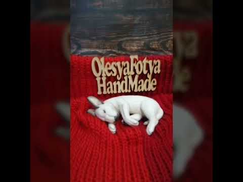 Бультерьер