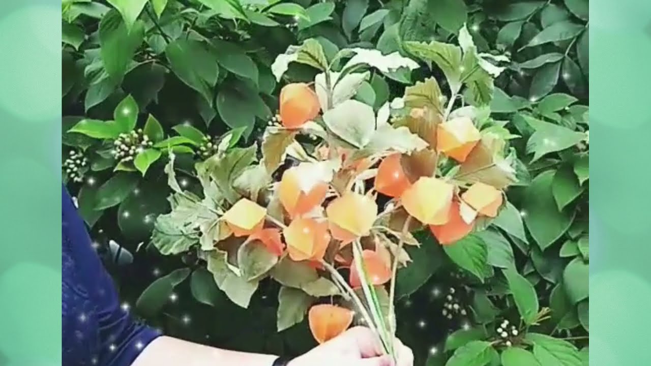Декор для букета. Интеръерный декор.