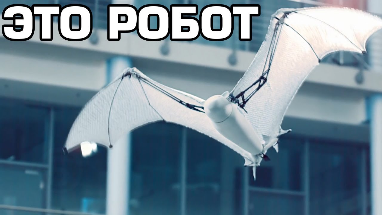 ​10 САМЫХ УДИВИТЕЛЬНЫХ РОБОТОВ В МИРЕ