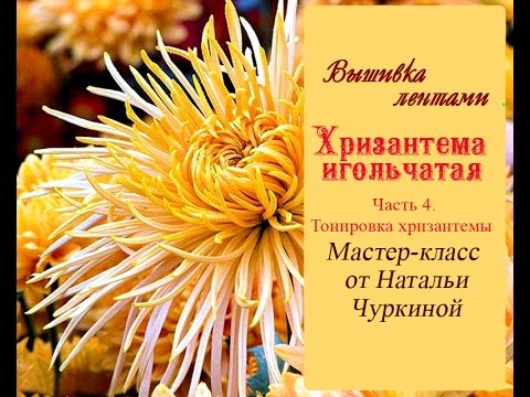Мастер-класс по вышивке лентами "Хризантема игольчатая". Часть 4. Тонировка хризантем