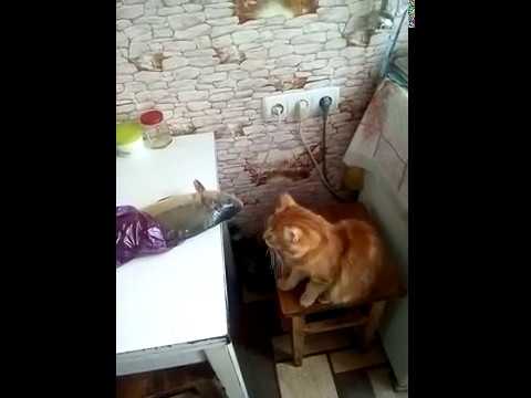 ДАВАЙ ДРУЖИТЬ??